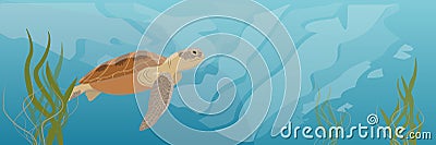 A large green sea turtle soup swims under water. Seaweed Vector Illustration